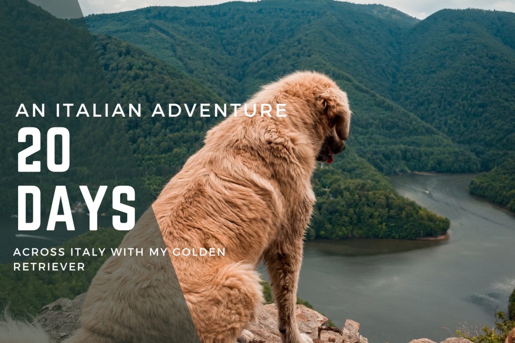 Pet-Friendly Travel Tips: Italy Adventure with&nbsp;Ryu